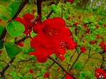 20070309 13.jpg